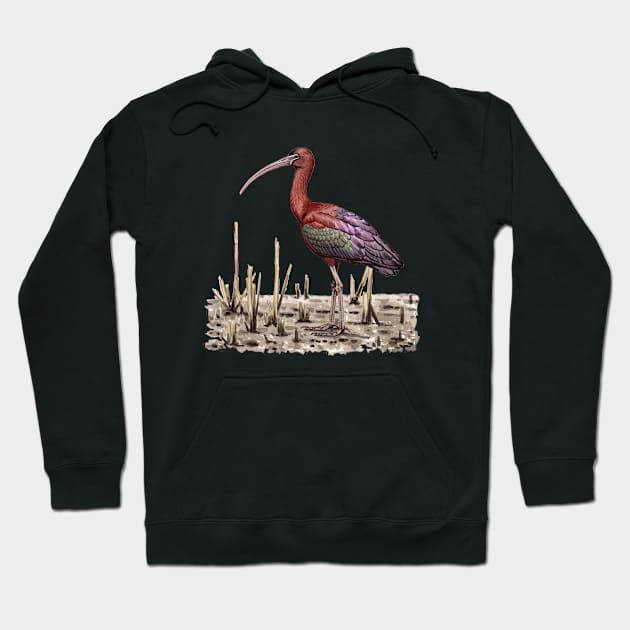 Glossy Ibis Hoodie by kokayart